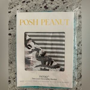 NIP Posh Peanut‎ Petey Dragon & Grey Stripe Patoo OG New